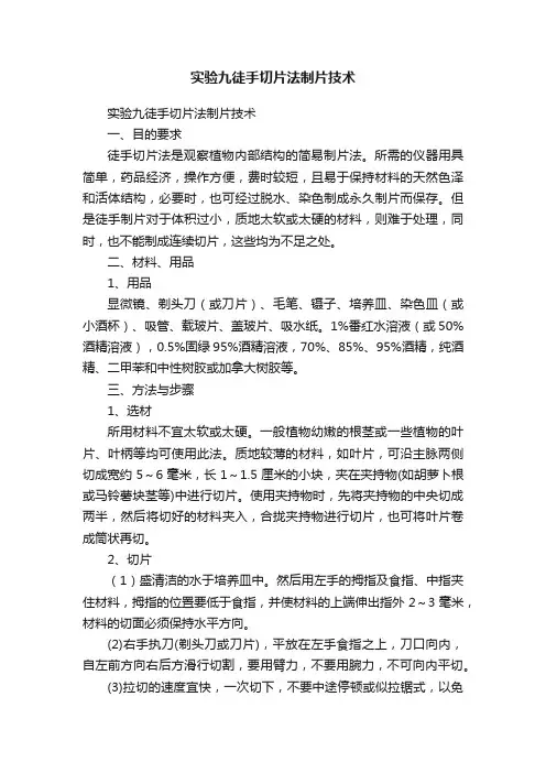 实验九徒手切片法制片技术