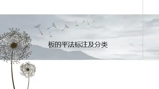 16G101图集-板的平法标注及分类