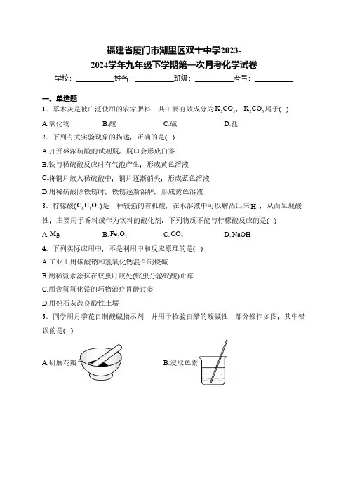 福建省厦门市湖里区双十中学2023-2024学年九年级下学期第一次月考化学试卷(含解析)
