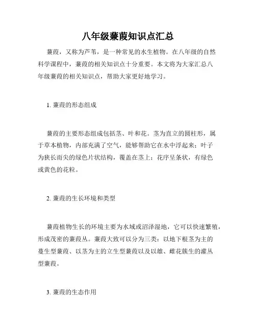 八年级蒹葭知识点汇总