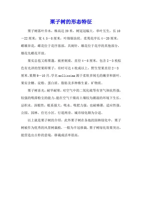 栗子树的形态特征