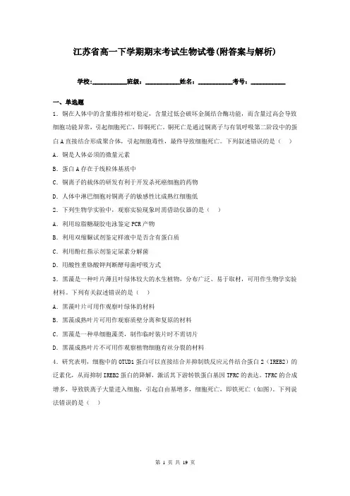 江苏省高一下学期期末考试生物试卷(附答案与解析)