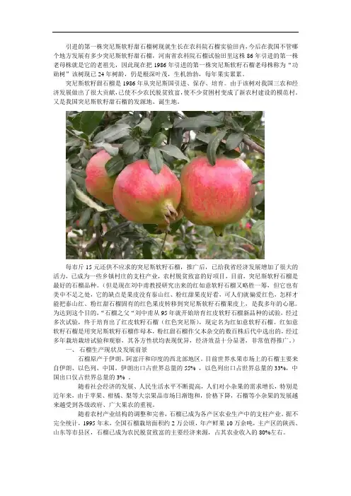 早期突尼斯软籽石榴苗详细介绍