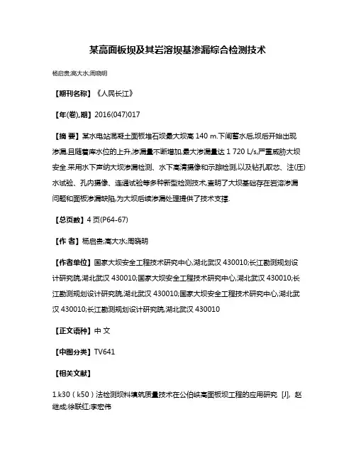 某高面板坝及其岩溶坝基渗漏综合检测技术