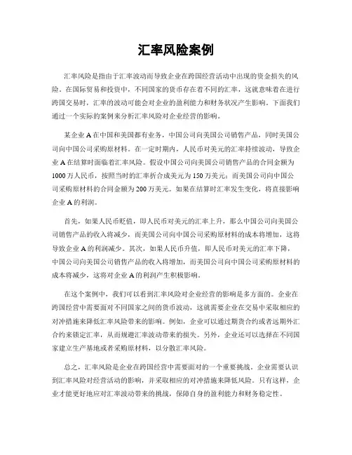 汇率风险案例