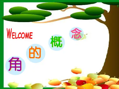 人教版数学七年级上册角的概念