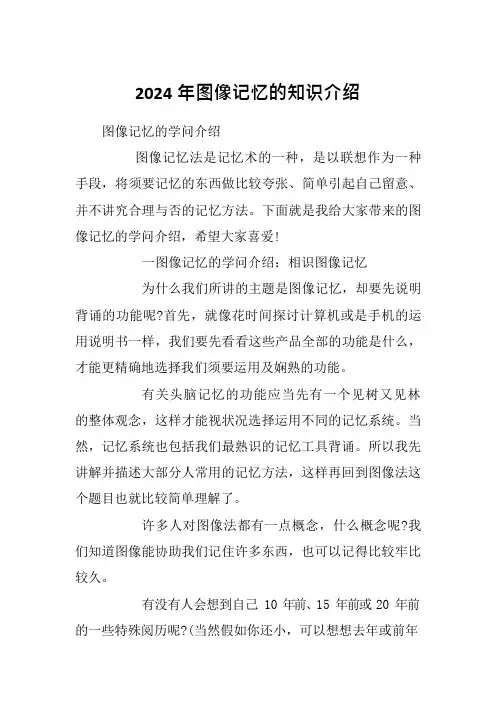 2024年图像记忆的知识介绍