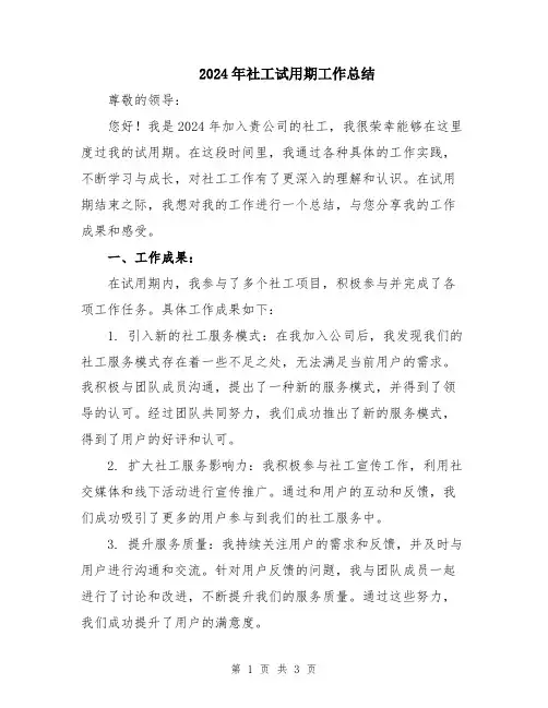 2024年社工试用期工作总结
