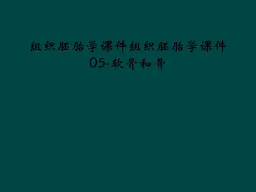 组织胚胎学课件组织胚胎学课件05-软骨和骨