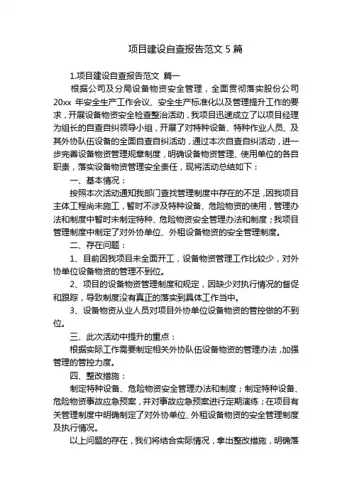 项目建设自查报告范文5篇