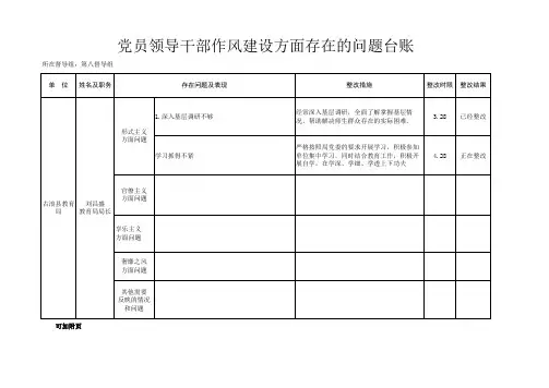 座谈会查找问题台账 (2)
