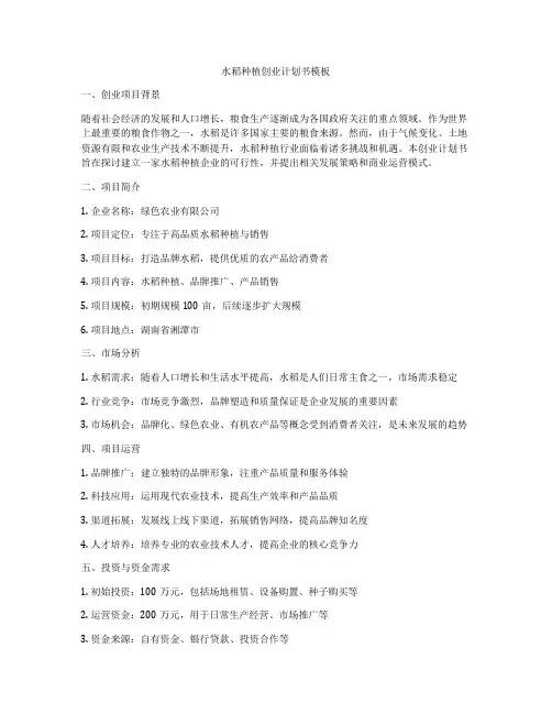 水稻种植创业计划书模板