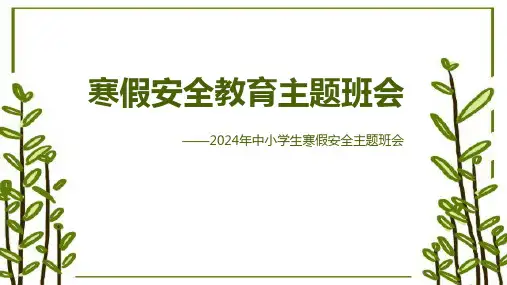 小学生主题班会 寒假安全教育 课件(共15张PPT)