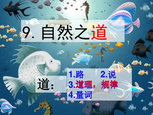 7自然之道      2PPT课件