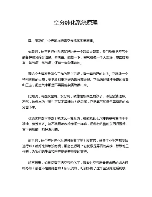 空分纯化系统原理
