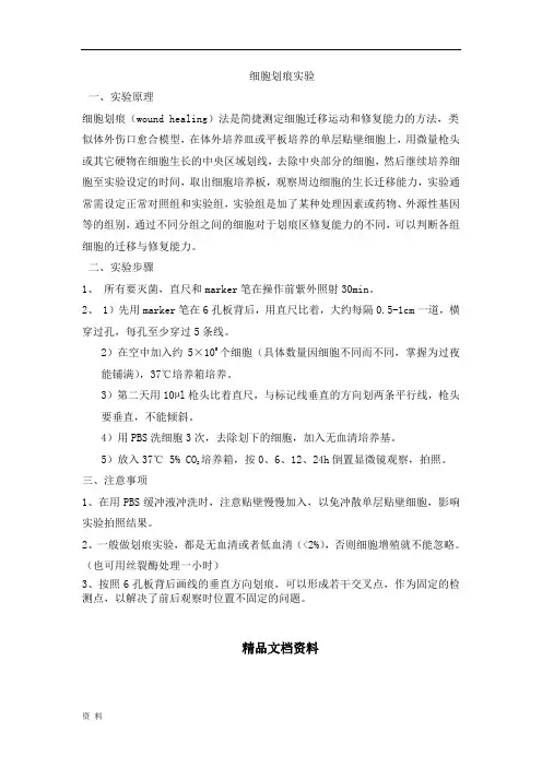 细胞划痕实验