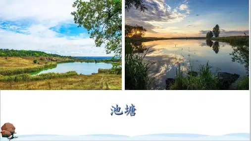 8.《池子与河流》课件(共30张PPT)