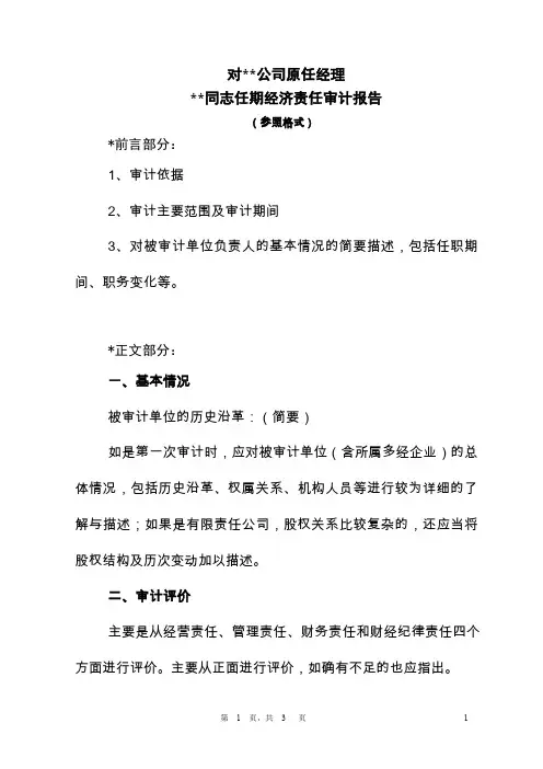 任期经济责任审计报告模板