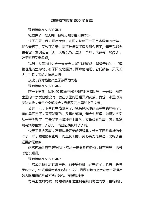 观察植物作文300字5篇