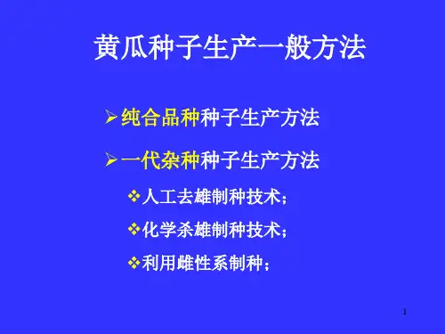 精选黄瓜种子生产
