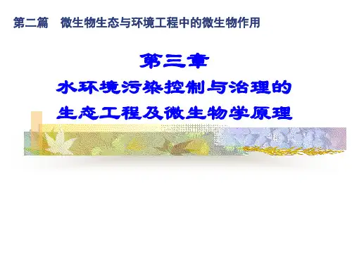 水环境污染控制与治理的生态工程及微生物学原理