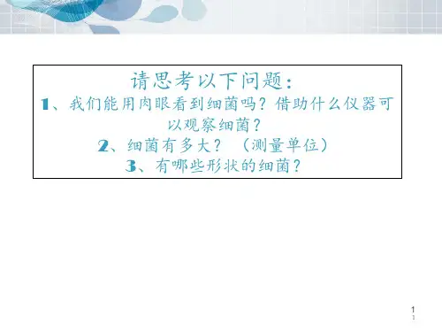 细菌的分布与消毒灭菌  ppt课件