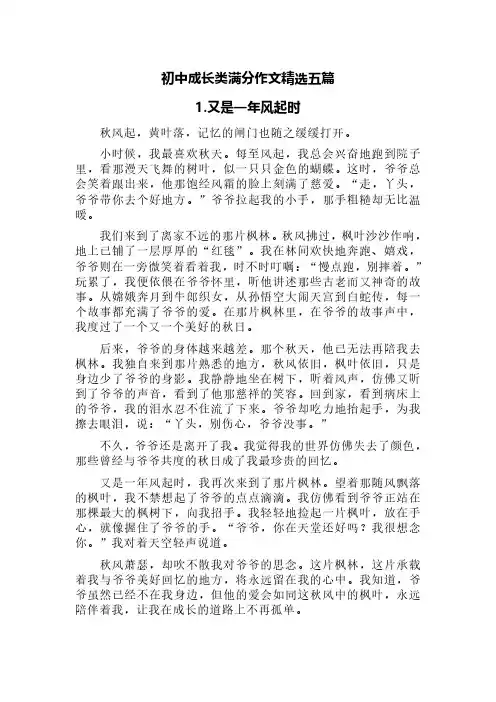 初中成长类满分作文精选五篇(风起时、落雪、长大了、点亮理想等方向)