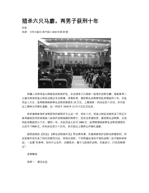 猎杀六只马麝，两男子获刑十年