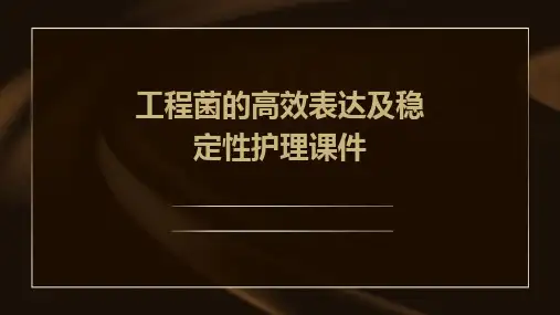 工程菌的高效表达及稳定性护理课件