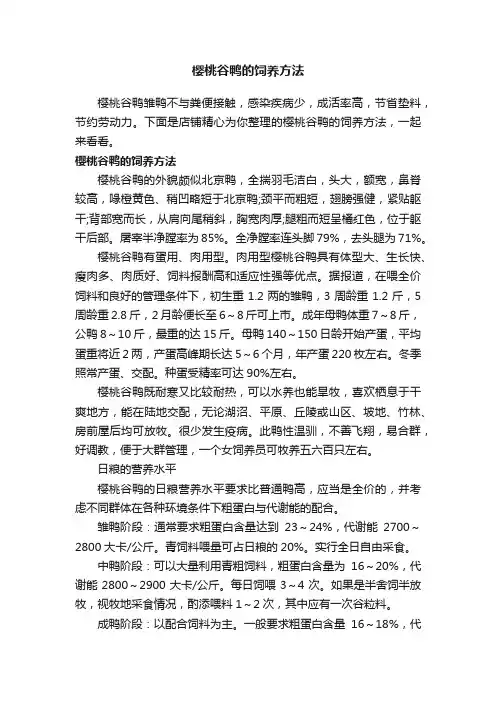 樱桃谷鸭的饲养方法