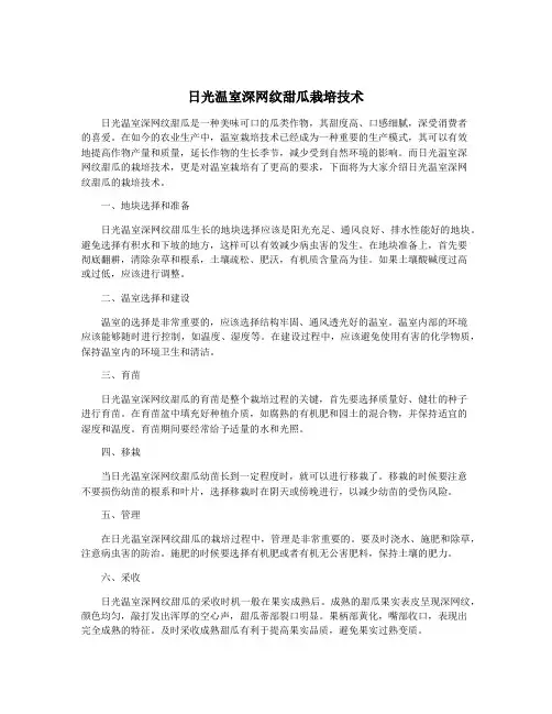 日光温室深网纹甜瓜栽培技术