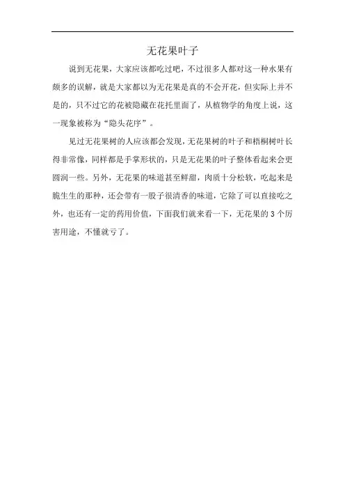 无花果叶子