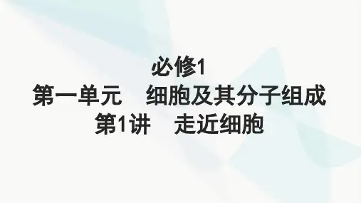 高考生物一轮复习必修1第一单元细胞及其分子组成第1讲走近细胞课件