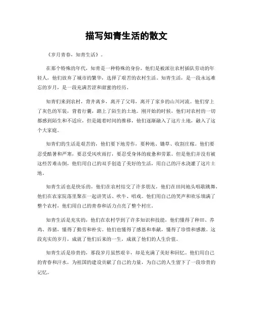 描写知青生活的散文
