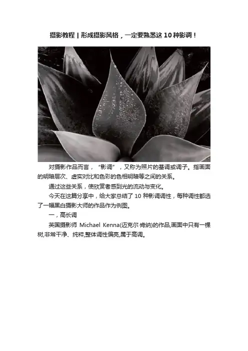 摄影教程丨形成摄影风格，一定要熟悉这10种影调！