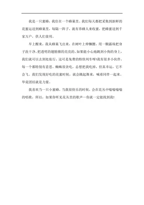 我是一只蜜蜂作文二年级