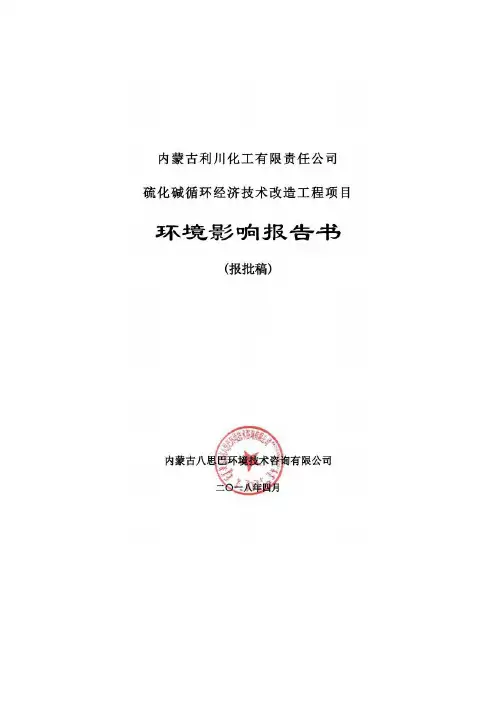 环评报告-硫化碱循环经济技术改造工程环境影响报告书