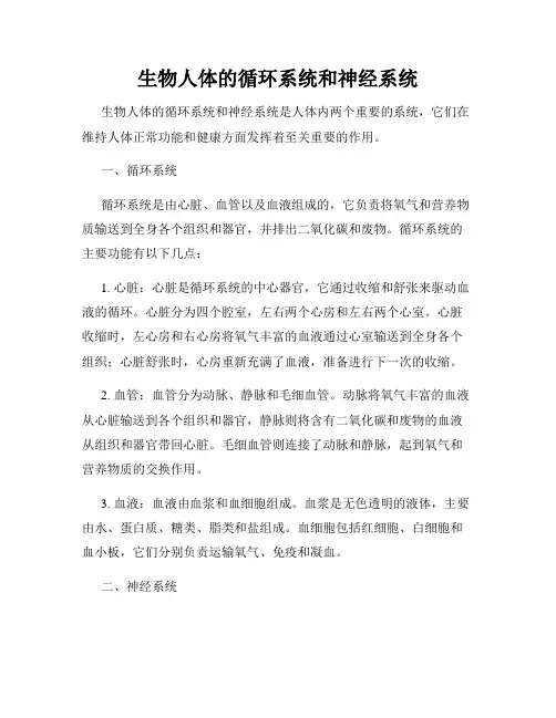 生物人体的循环系统和神经系统