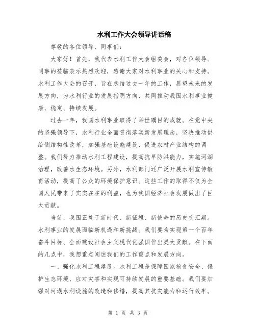 水利工作大会领导讲话稿