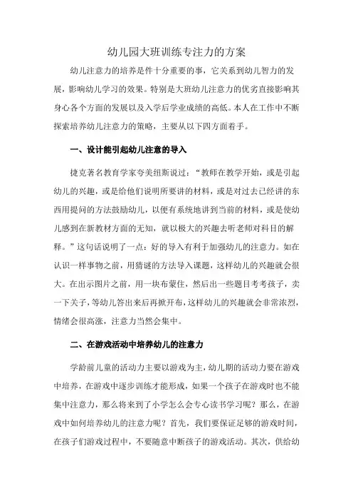 幼儿园大班训练专注力的方案