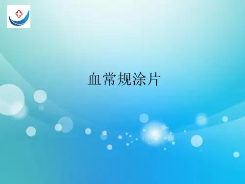 血常规涂片