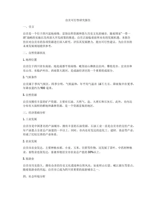 自贡可行性研究报告