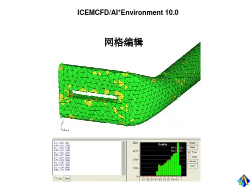 ICEM画飞机网格(课堂PPT)
