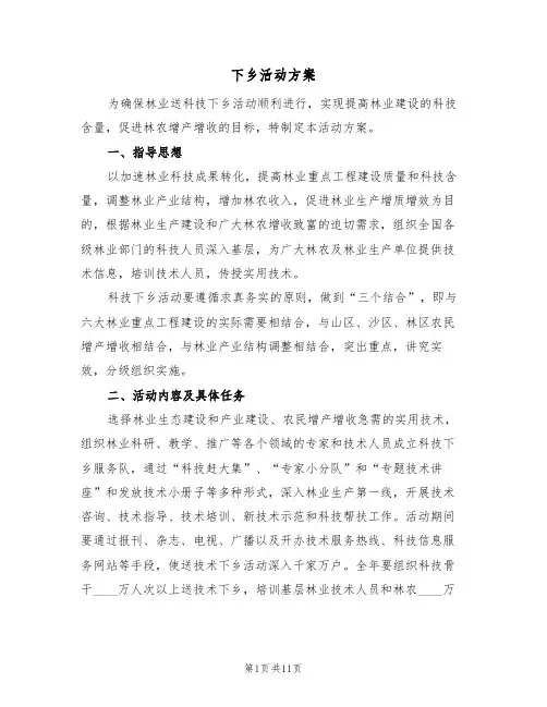 下乡活动方案（二篇）