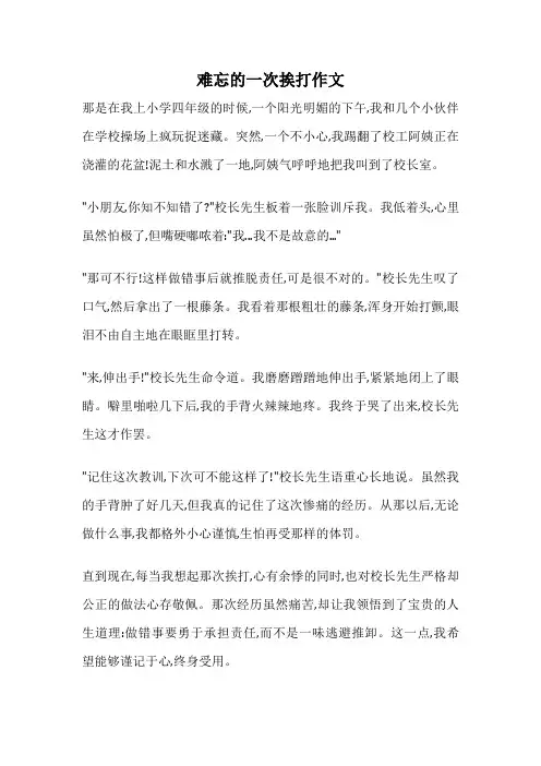 难忘的一次挨打作文