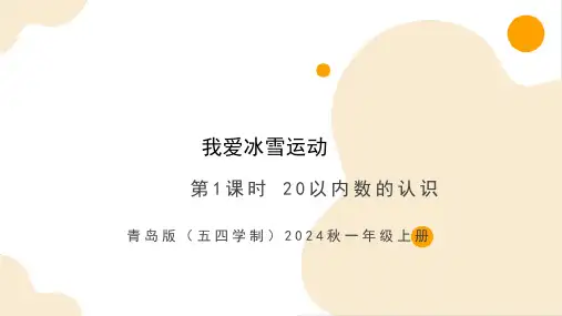 总复习 20以内数的认识(课件) -一年级上册数学(青岛版五四学制2024秋)