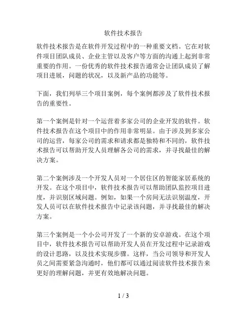 软件技术报告