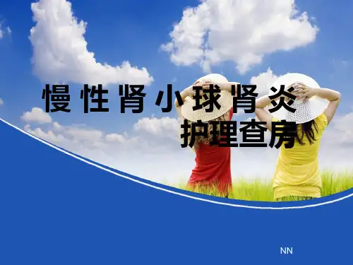 慢性肾炎的护理查房PPT