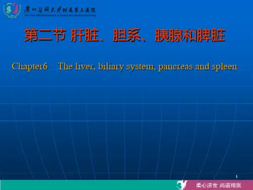 肝脏、胆系、胰腺-精品医学课件