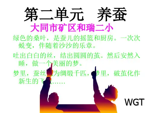 苏教版科四下《养蚕》ppt课件
